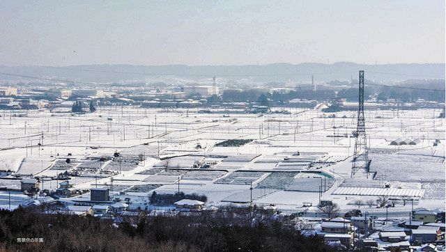 加治丘陵から撮影した雪化粧の狭山茶畑（いずれも横山満さん撮影）