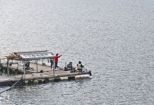 相模湖の五宝亭の桟橋でワカサギ釣りを楽しむ人たち。冷たい風が吹き湖面はさざ波が立っていた＝いずれも相模原市で