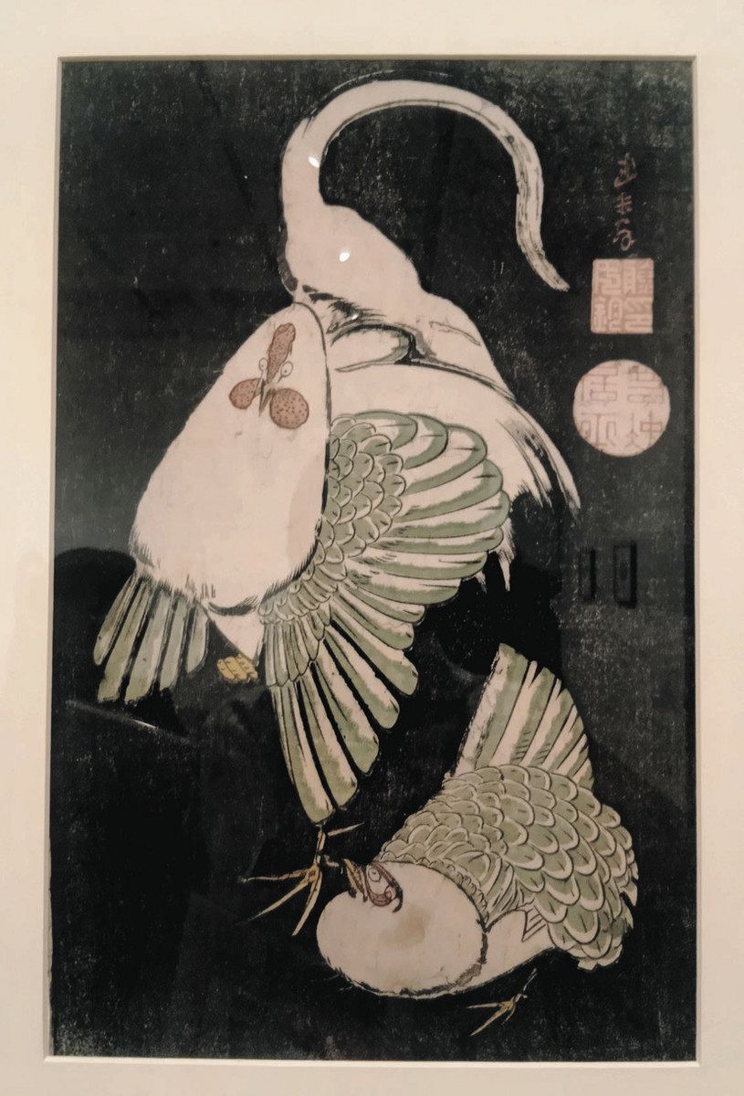 世界で1枚…若冲が手がけた版画、日本初公開 謎多き「おとぼけ」顔の鶏