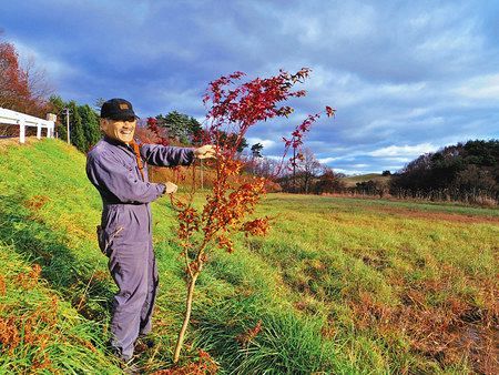 木を植える ２ 未来のことを考える 東京新聞 Tokyo Web