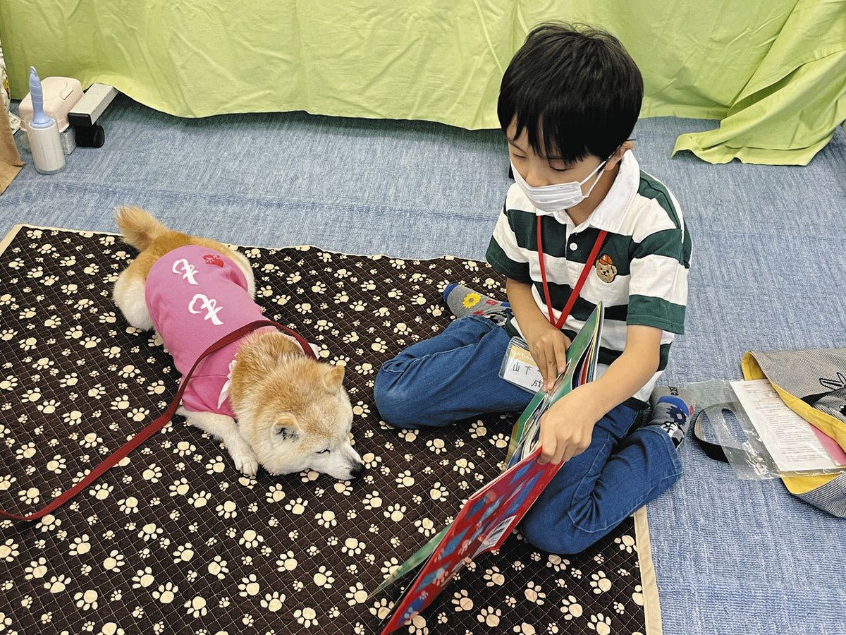行ってみたら＞やさしさ分かち合う「読書犬」 子どもが犬に絵本の読み