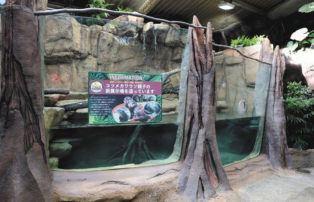 間もなく完成するコツメカワウソの新展示場=那須町で(那須どうぶつ王国提供)