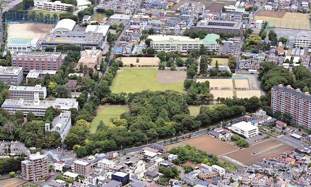 運動公園 総合運動公園28選 思い切り体を動かして楽しもう じゃらんニュース
