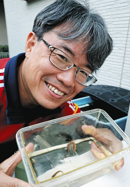 かながわ未来人 生態知り尽くした達人 ホトケドジョウを川崎で保護 斉藤訓章 さいとう のりあき さん 51 東京新聞 Tokyo Web