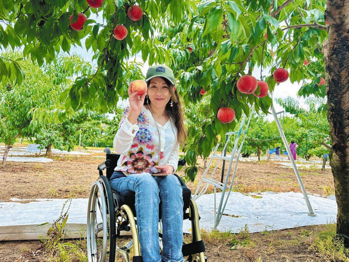 山崎まゆみのバリアフリーで行こう＞福島で楽しむ（上） 車いすで桃 