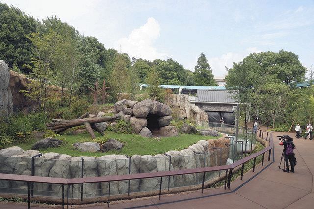 上野動物園に新たな飼育施設 パンダのもり きょうオープン 東京新聞 Tokyo Web