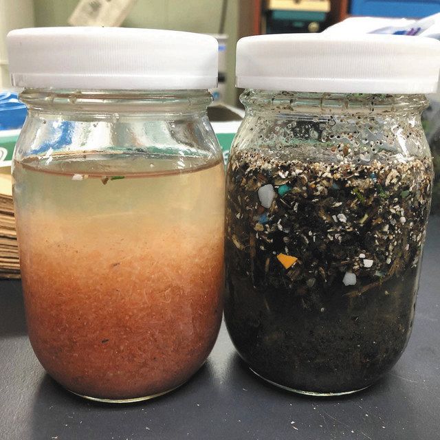 台風通過前（左）と通過１日後（右）に採取した試料。（右）ではプラスチックと木くずが非常に多く採取された＝海洋研究開発機構提供