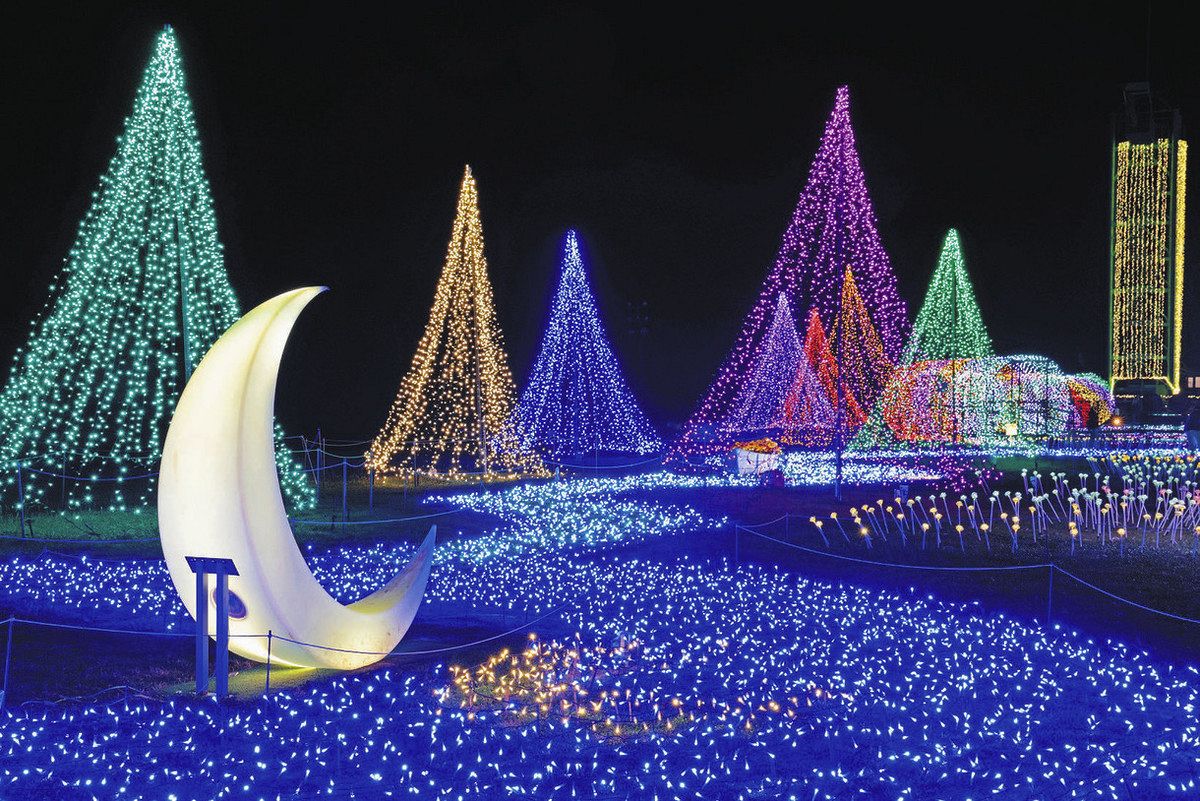 行ってみたら イルミネーション＞（上）夜の街 光の装い：東京新聞デジタル