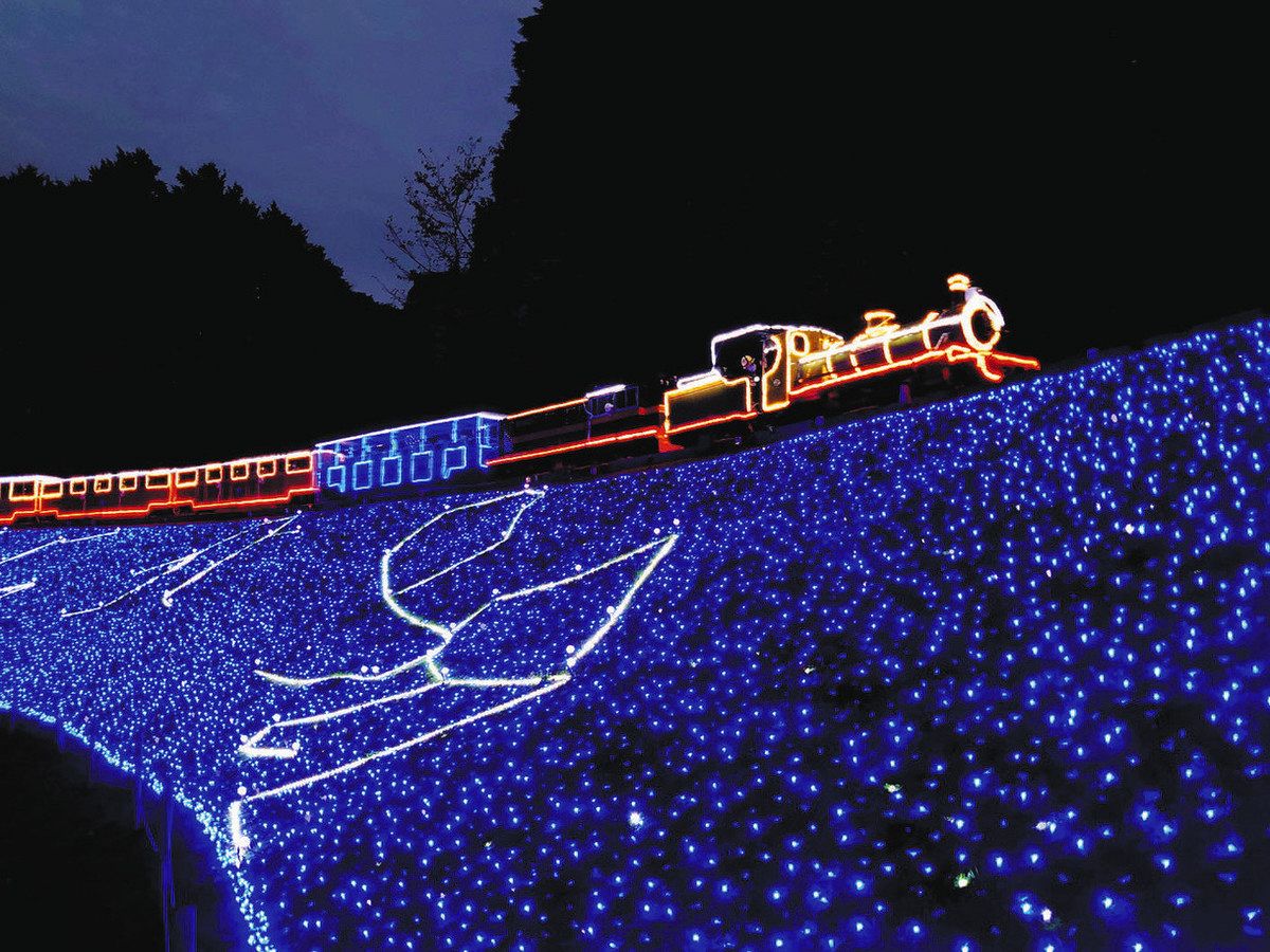 行ってみたら イルミネーション＞（上）夜の街 光の装い：東京新聞デジタル