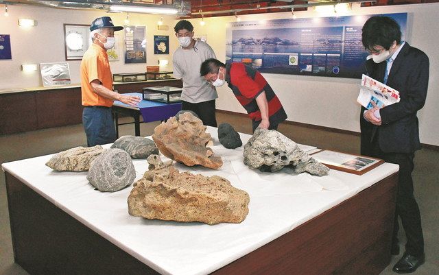 ﻿貴重な南極の石（手前）などが並べられた展示コーナー＝千葉県船橋市沖のSHIRASE5002で
