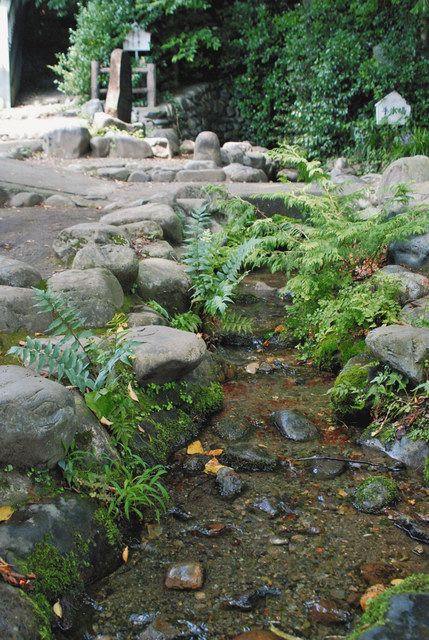 東京の名水に選ばれている諏訪神社のわき水