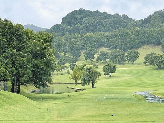 ねづっちの謎かけ道場 慶事のランクとかけて 植毛効果の検証ととく 東京新聞 Tokyo Web