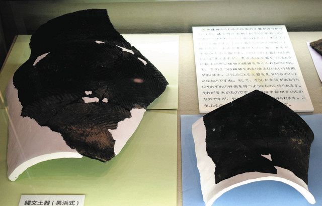 平安時代の国産銅鏡 平塚で特別展 出土品250点一堂に：東京新聞デジタル