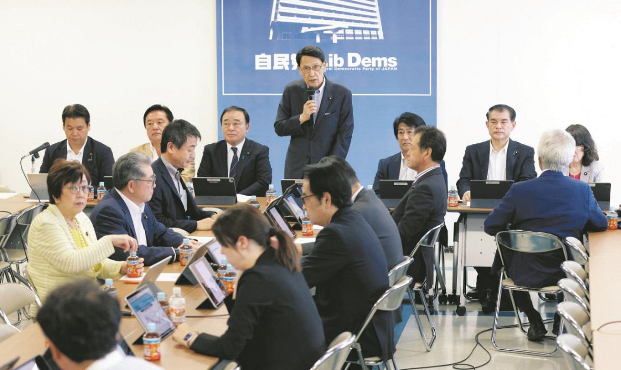 25日開かれた自民党の政調全体会議。中央はあいさつする渡海政調会長（佐藤哲紀撮影）