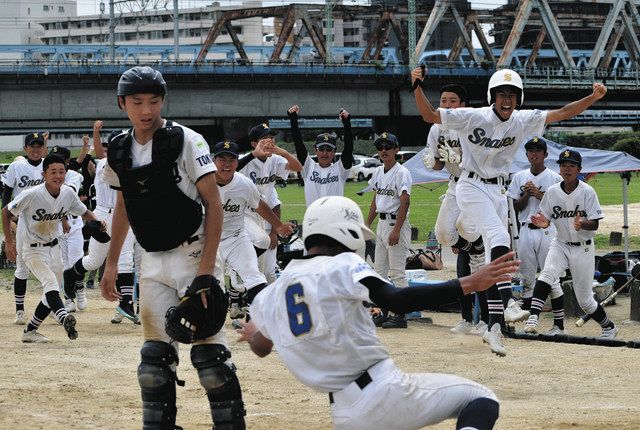 クリーミーなアンズタケのスープのレシピ