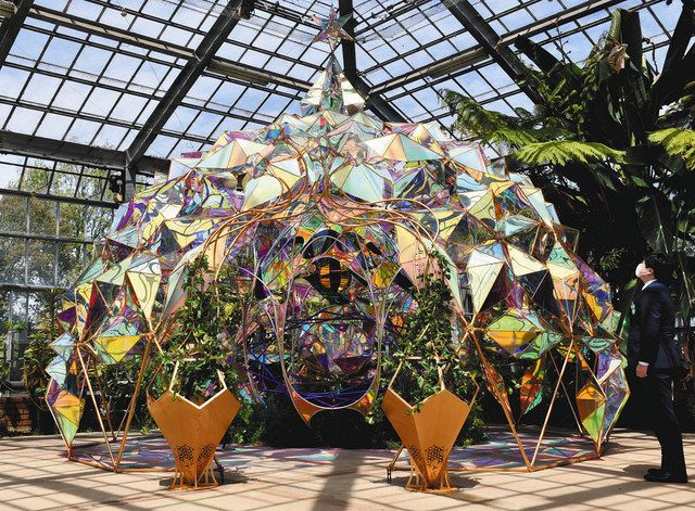 バラと光のドーム 八千代の京成バラ園 きょうから春フェス 東京新聞 Tokyo Web