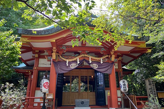 芝公園【港区】将軍家のパワーに満ちあふれた徳川家康公ゆかりの地を歩く 〜ぐるり東京 街さんぽ〜：東京新聞デジタル