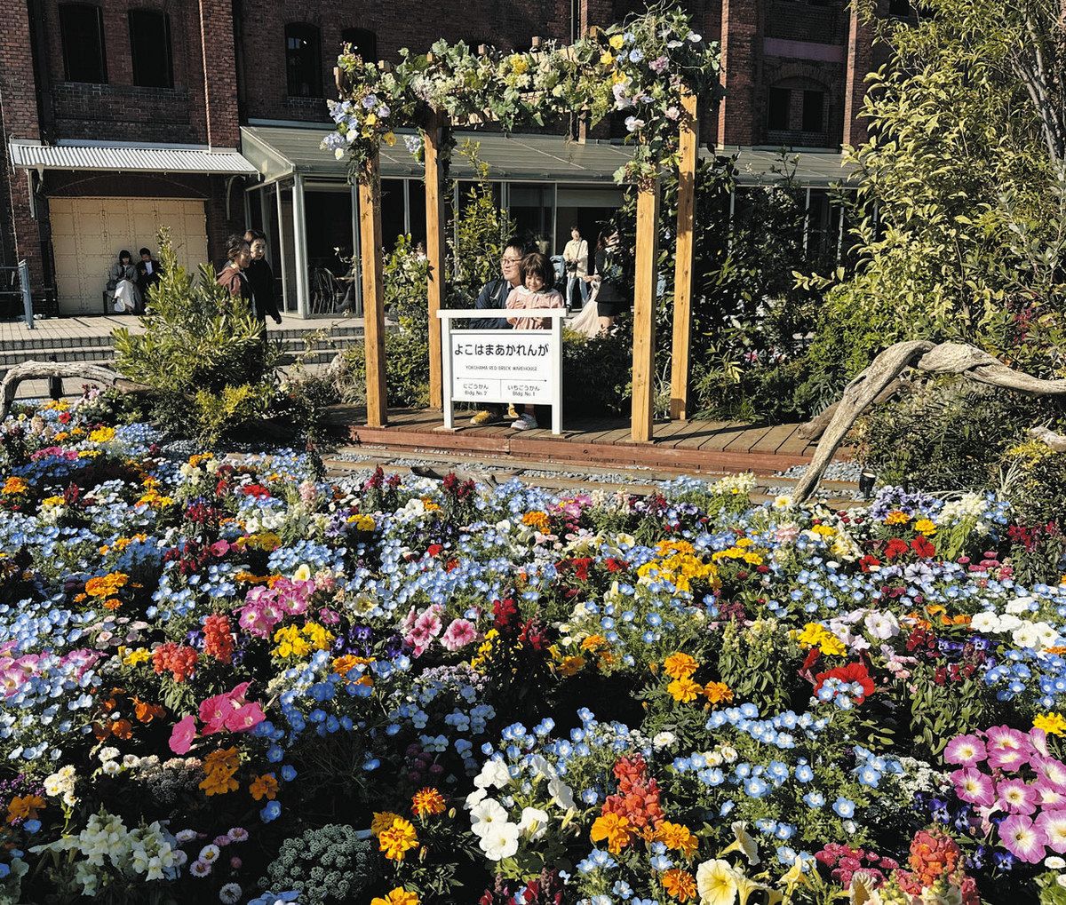 横浜で2万株「フラワーガーデン」 花に囲まれ一休み 19日まで：東京