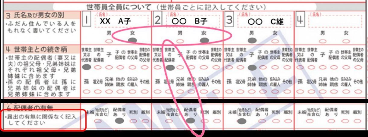 国勢調査の調査票のイメージ（Marriage For All Japan提供）