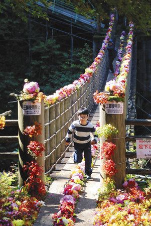 秩父点描 渓谷彩るダリア優雅 小鹿野 東京新聞 Tokyo Web