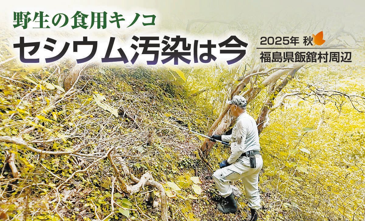 汚染 され た お 米 セシウム さん