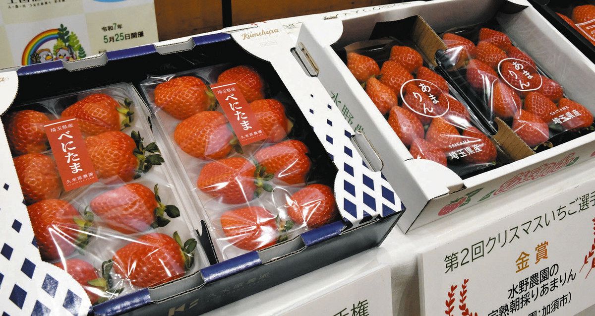 日本一おいしい」埼玉県産イチゴ、品評会で脚光 さいたまで来月23、24