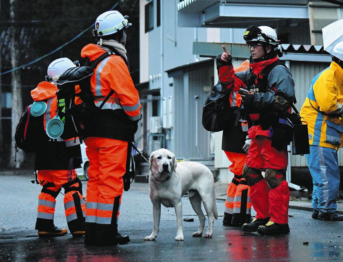 捜索阻む家屋、土砂…災害救助犬が命綱に　能登半島地震：東京新聞 TOKYO Web