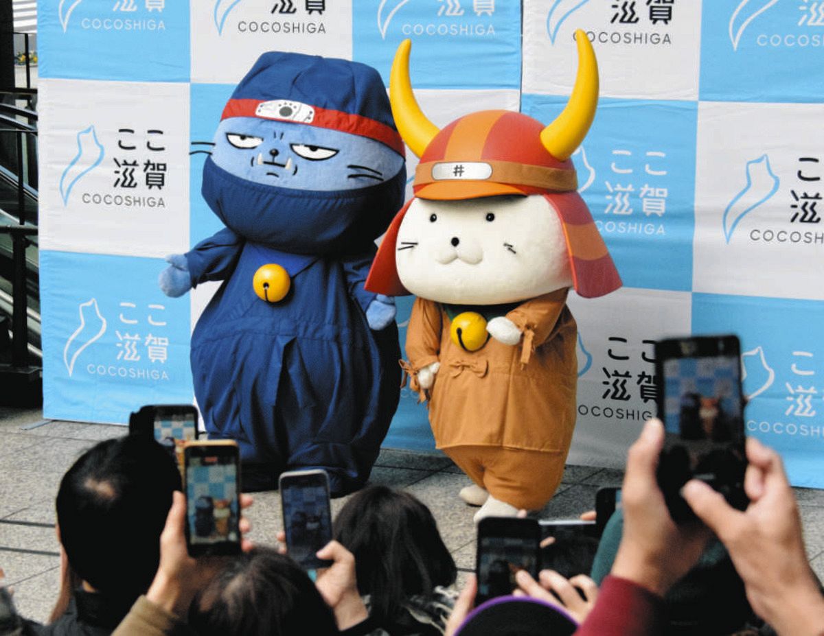 ひこにゃんさん専用 115520-3-