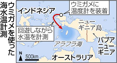 カメは人類救う 海水温予測 甲 上 計器着けデータ収集 成果 東京新聞 Tokyo Web