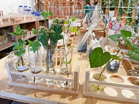 実験器具をインテリアに提案 東京・清澄白河の「リカシツ」：東京新聞