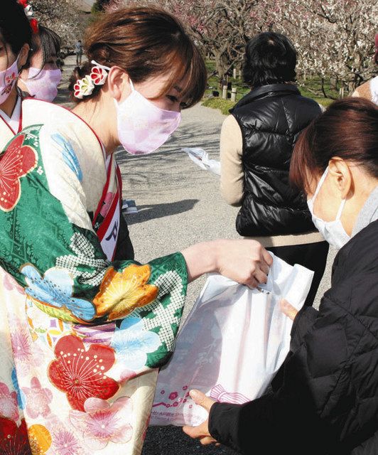 コロナと生きる いばらき 水戸の梅まつり開幕 待ちわびた 関係者 笑顔 梅大使やっと 初仕事 東京新聞 Tokyo Web