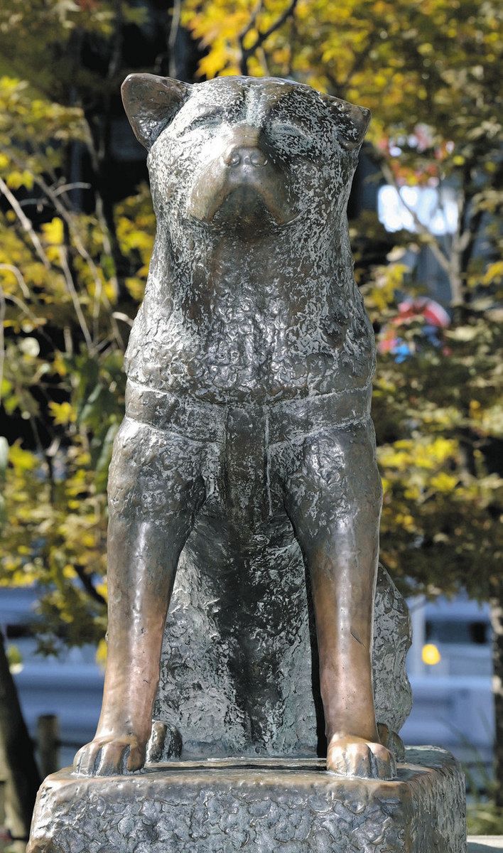 渋谷の「ハチ公」世界に発信 区内で88人の作品 8月8日前後 3日間展示