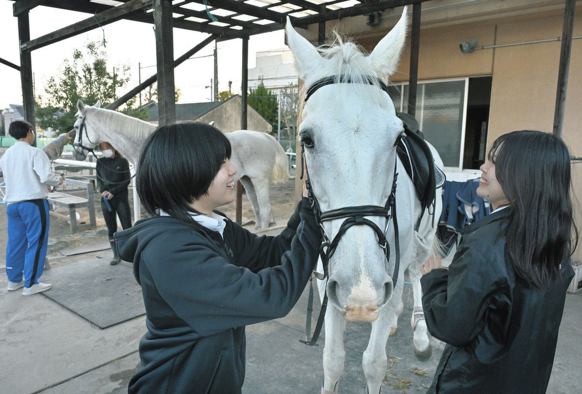 東京のいろんなとこに「馬」がいる！ 高校、馬事公苑…神社にも 2026年