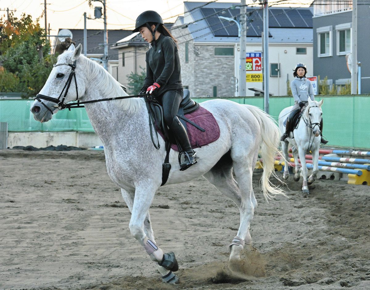 東京のいろんなとこに「馬」がいる！ 高校、馬事公苑…神社にも 2026年