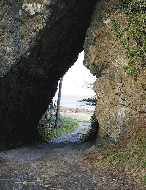 「とまりのトトロ」と呼ばれ、話題となっている岩穴＝青森県六ケ所村で（共同）