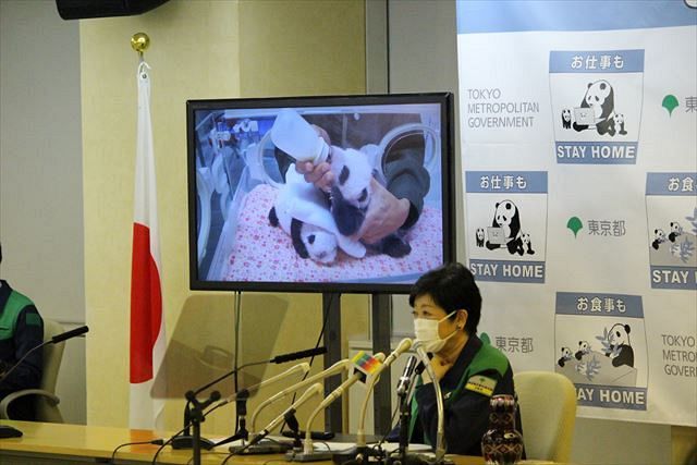 上野動物園の双子の赤ちゃんパンダの名前を公募 小池知事 かわいいとしか言いようがない 東京新聞 Tokyo Web