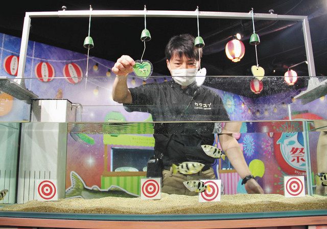 テッポウウオの的あて 花火模様の淡水魚 カワスイでお祭り気分に ９月２３日まで企画展 東京新聞 Tokyo Web