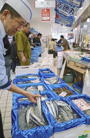 経済編 高い サンマ水揚げ過去最低 東京新聞 Tokyo Web