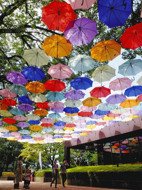 涼しげな色とりどりの傘＝館林市役所で 