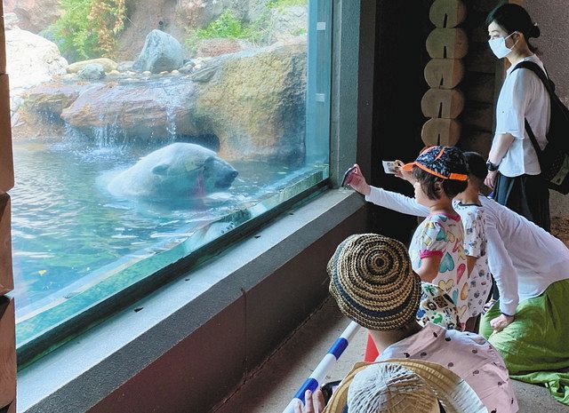 新型コロナ 横浜市立３動物園再開 検温やガラス接触防止など対策 東京新聞 Tokyo Web