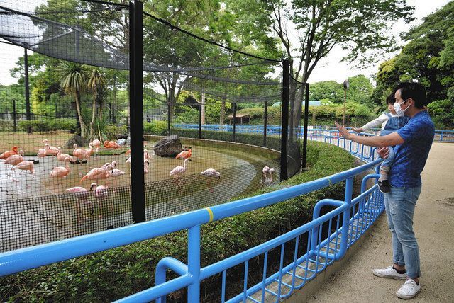 動物 公園 千葉 【2021年】千葉市動物公園の割引券・クーポン・無料入園方法まとめ