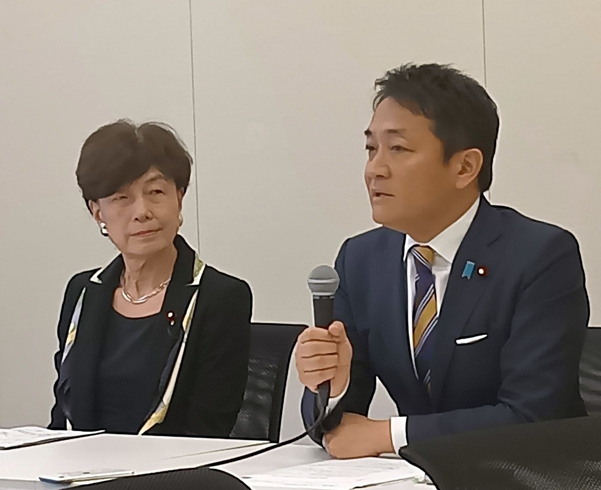 国民 民主党 夫婦 別姓