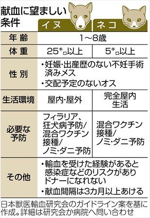 犬も献血、お願いします！ ドナーが不足、小型犬人気も一因：東京新聞デジタル