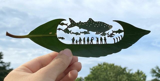 繊細さに心が震える」葉っぱを使った精密な切り絵 アーティスト・リト