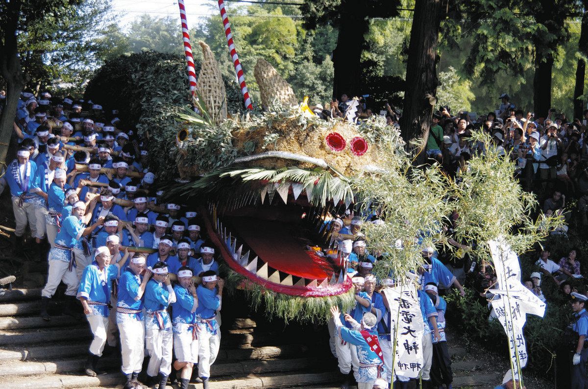 鶴ケ島市の伝統行事 8年ぶり練り歩く龍神 7月27日「龍蛇製作」 8月4日「脚折雨乞」 全中学生に特製ポロシャツ配布：東京新聞デジタル