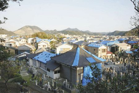 ブルーシート張り 助けます 台風１５号上陸１カ月 県 被災者に業者を紹介 １５日から 東京新聞 Tokyo Web