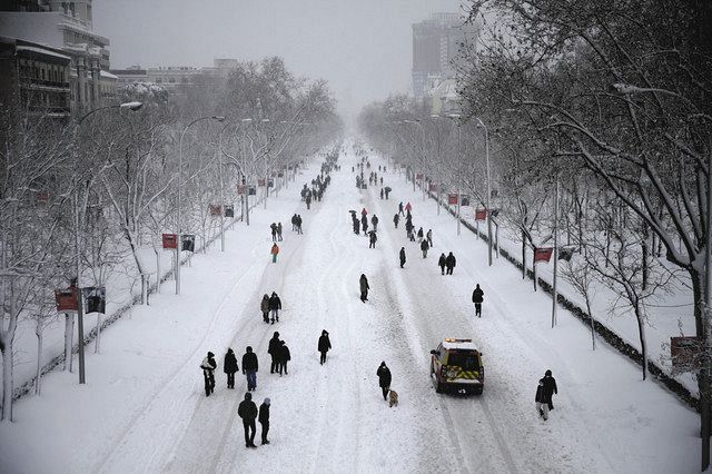 大雪でスペイン首都の交通混乱 半世紀ぶり積雪５０センチ超える 東京新聞 Tokyo Web