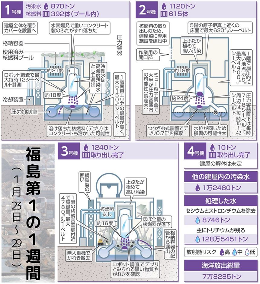 活動歴および当時の関連ビジュアル記録