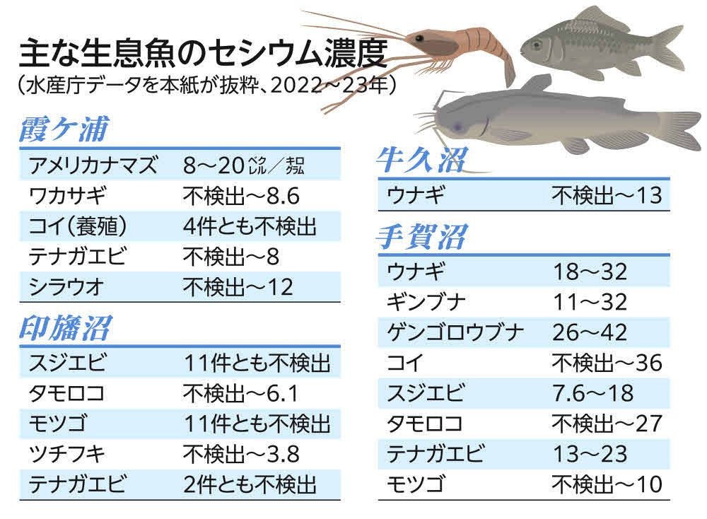 湖沼や川の底の放射性セシウムどうなった？ 茨城、千葉で定点調査 福島第一原発事故【動画】：東京新聞 TOKYO Web