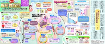 見えにくい第三の脂肪 異所性脂肪 No 1277 東京新聞 Tokyo Web